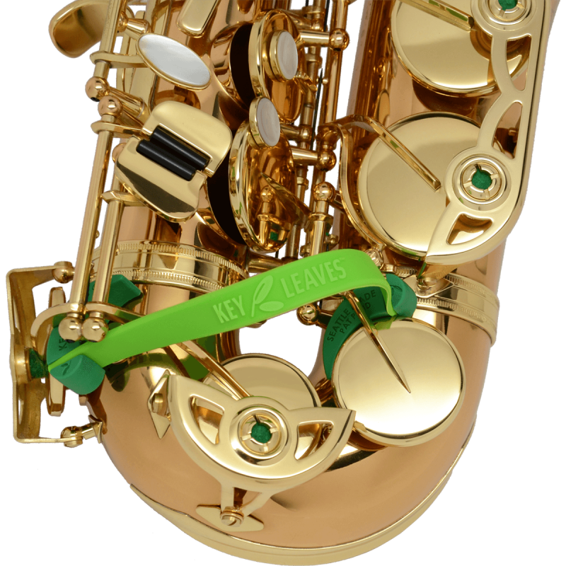 Saxophone Nettoyage Chiffon Tampons Embout Bouche Brosse pour Alto